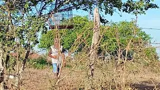 Ca&ccedil;ando passarinho 😁
