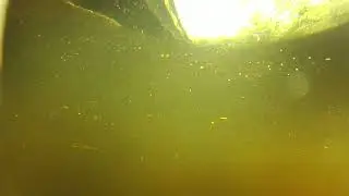 Contour Roam 2 underwater camera check in Alligator territory South Carolina