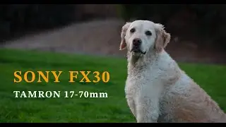 Sony FX30 Short Film 4K Footage | Tamron 17-70 | Cinematic Music Video