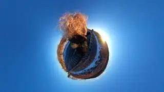 360Rize 360Penguin 24 Mega Pixel Photo Animated with Zoom In/Out