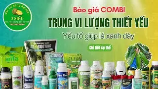COMBI VI LƯỢNG THIẾT YẾU DÀNH CHO CÂY - BÁO GIÁ CHI TIẾT #basieu #baogia #giare