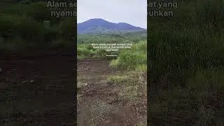 #cirebon #explorependaki #explore #camping #pendaki #hiking #pendakihits #shorts #pendakiindonesia