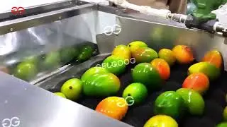 Mango Cleaning And Grading Line Exported To The Philippines