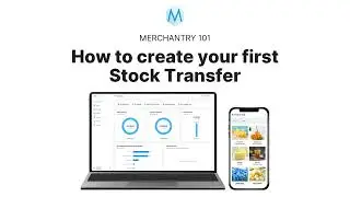 Merchantry 101: Create Your First Stock Transfer