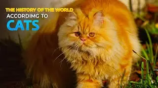 The Cat's Role in Mythology and Legends @CatMeditation