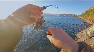 Συναγρίδα στον ακροβάτη! LRF με δόλωμα και κρύο🎣