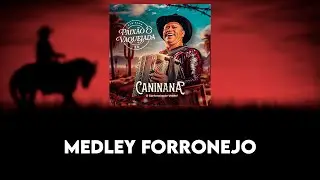 Medley Forronejo - Caninana