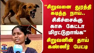 Street Dog | Chennai | 