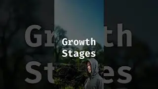 The Amazing Journey of Oak Tree Growth Patterns!