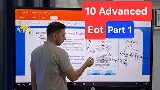 Physics EOT 10 Advanced - Questions 5