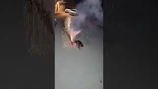 Dog plays Harry Potter with fireworks 😂 #Dog #Fireworks #Funny#Shorts