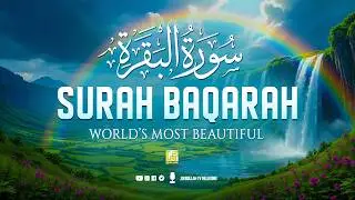 Surah Al-Baqarah (سورة البقرة) | Ultimate Quran for Inner Peace, Healing & Rahmah #surahbaqarah
