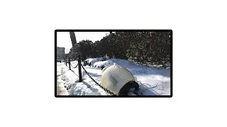 Observational Video