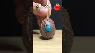 Что скрывается внутри?