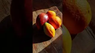 &iquest;Por qu&eacute; te mintieron sobre el az&uacute;car de la fruta?