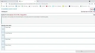 IT430   E Commerce Quiz 2021