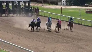 Ajax Downs: August 31, 2025 - Race 1 Inquiry