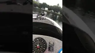 Legend 211 Alpha Miami
