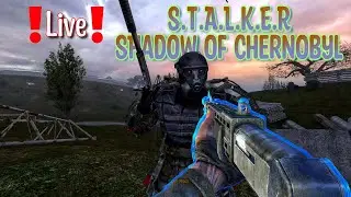It's A Anomaly That I've Made It This Far [S.T.A.L.K.E.R: Shadow of Chernobyl]