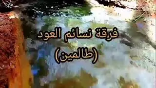 تساغنس هي مولاتو ..فرقة نسائم العود