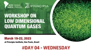Low Dimensional Quantum Gases - Day 04
