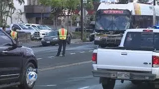 Pedestrian hit by bus on Ala Moana Blvd.