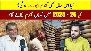 Will Farmers Grow Wheat in 2025 26? | Pakistan Mein Gandum Ki Shortage!