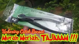 [ VIDEO 21 ] Catok Bonsai Murah Meriah, KUALITAS OKE !!! TAJAAAAM !!!