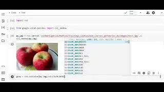How to Convert Color Images to Grayscale in Python | Easy Tutorial for Beginners