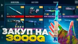 Самый ЛУЧШИЙ Закуп на 3000 ГОЛДЫ! | ВОЗРОДИЛ СТАРЫЙ АКК?