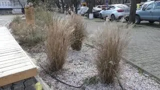 Обновяват ключови пространства в центъра на Стара Загора