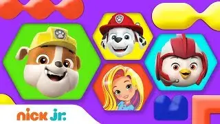 Surprise Friend 🎉 ft. Paw Patrol, Sunny Day & More!  | Nick Jr.