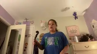 Violin