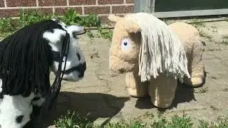 Een gedicht voor Bloem (Crafty Ponies)