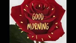Good Morning Gif with rose.