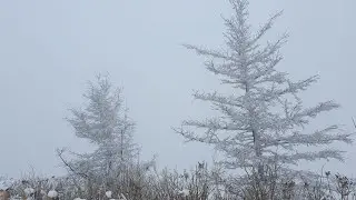 Фредерик Шопен — Ноктюрн № 2 (Джазовая оркестровая аранжировка) | Элегантное утешение, обнимающее