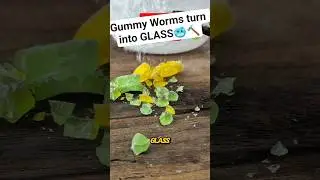 Gummy Worms vs. Liquid Nitrogen 🥶😭 #shorts #science
