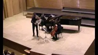 Dumky Op.90, IV.Lento maestoso, A. Dvoř&aacute;k  - Trio75