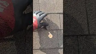 Before roof rejuvenation, this is what we see - Katy Texas