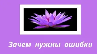 291. Сатья Саи Баба  об ошибках.
