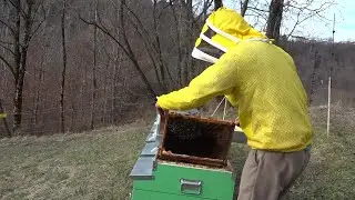 il fascino dell'apicoltura