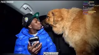 THIS IS WILD 🤢&mdash; Rakai Let His Dog Lick His Lips on Camera and the Internet Is FURIOUS