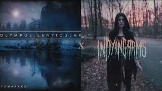 Famous Last Great Bear - Olympus Lenticular vs. In Dying Arms (Mashup)