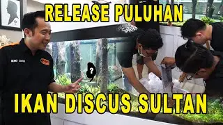 FINISHING QAMUARIUM TERBARU !! DAN DIISI PULUHAN IKAN DISCUS SULTAN YANG HARGANYA JUTAAN