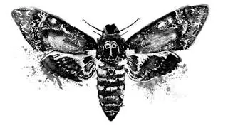Create colorful animal illustrations
