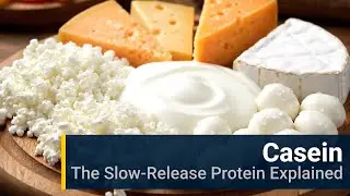 Casein: The Slow-Release Protein Explained