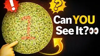 Are You Color Blind? Try This Test 👁️ Color Blindness Test #ColorBlindTest #usaquiz 