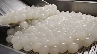 $5 vs $50 Dried Fruit What Makes This Golden Longan So Expensive