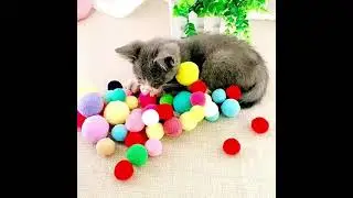 Best Selling Cat Gadgets of Amazon in 2021 #2