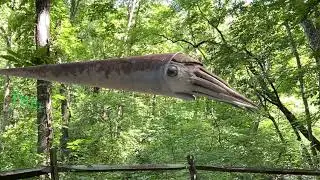 Life before Dinosaurs in AR